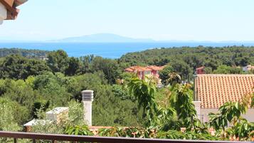 Apartment, 3 Bedrooms, Balcony, Sea View | Beach/ocean view