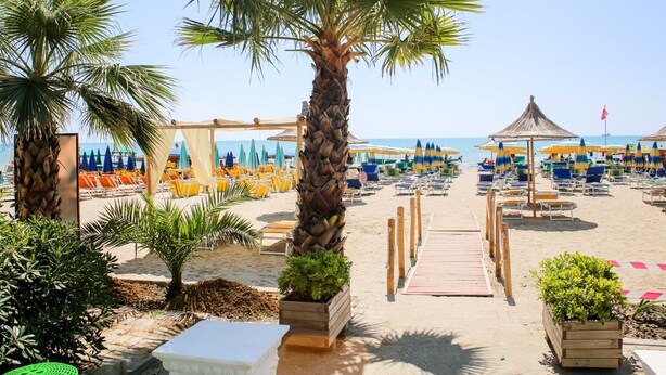 Un resort en la playa con un paseo de madera que lleva a sillas y sombrillas, palmeras y una vista despejada del mar.