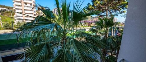 A balcony with palm trees and a view of a building in the background.