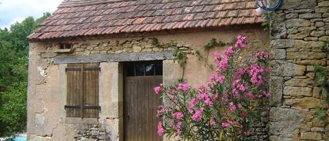 Detalle del exterior