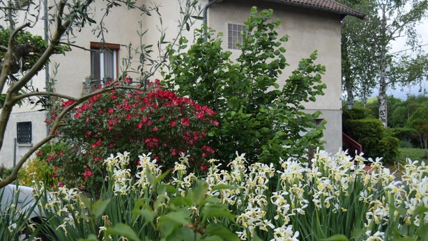 Ein Garten mit weißen Blumen und einem Gebäude mit einem Balkon.