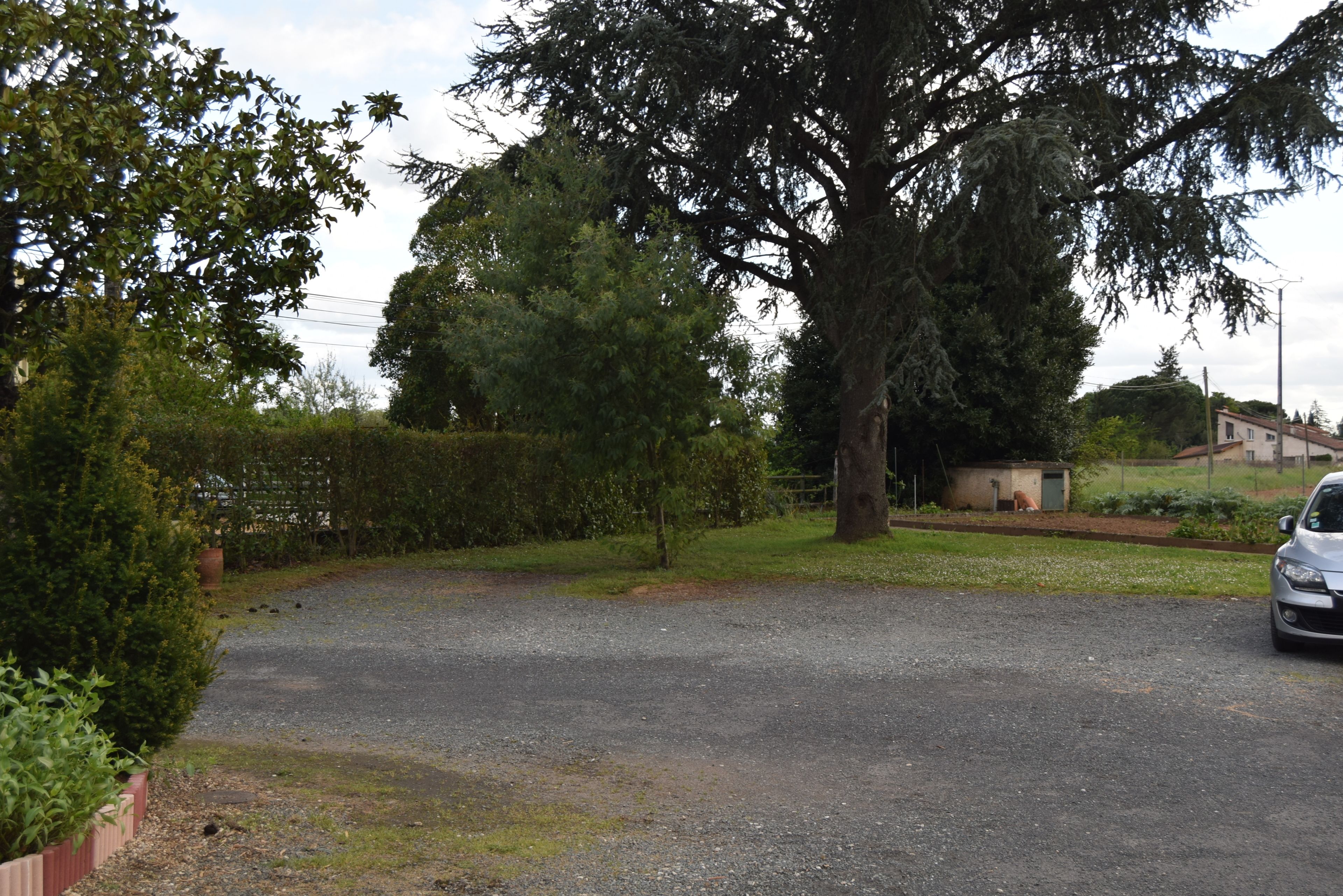 A gravel driveway leading to a house with a large tree in the foreground.