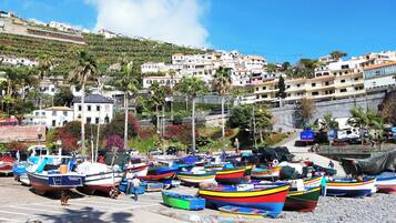 Un port de plaisance situé sur la côte, où sont amarrés des bateaux aux couleurs vives, entouré de bâtiments résidentiels et de palmiers.