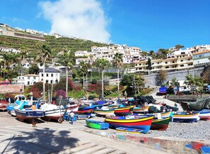 Un puerto costero con barcos de colores amarrados, rodeado de edificios residenciales y palmeras.