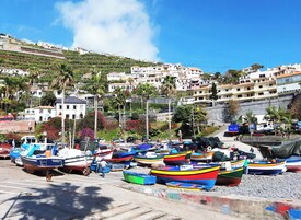 A coastal marina with colorful boats docked, surrounded by residential buildings and palm trees.