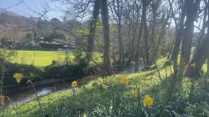 Terrain de l’hébergement 