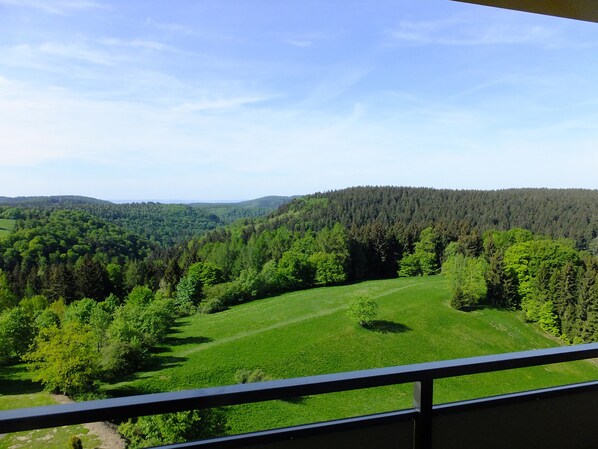 A balcony with a view of a green field and forested hills. - Holiday Apartment in the Harz (Braunlage/Hohegeiß)
