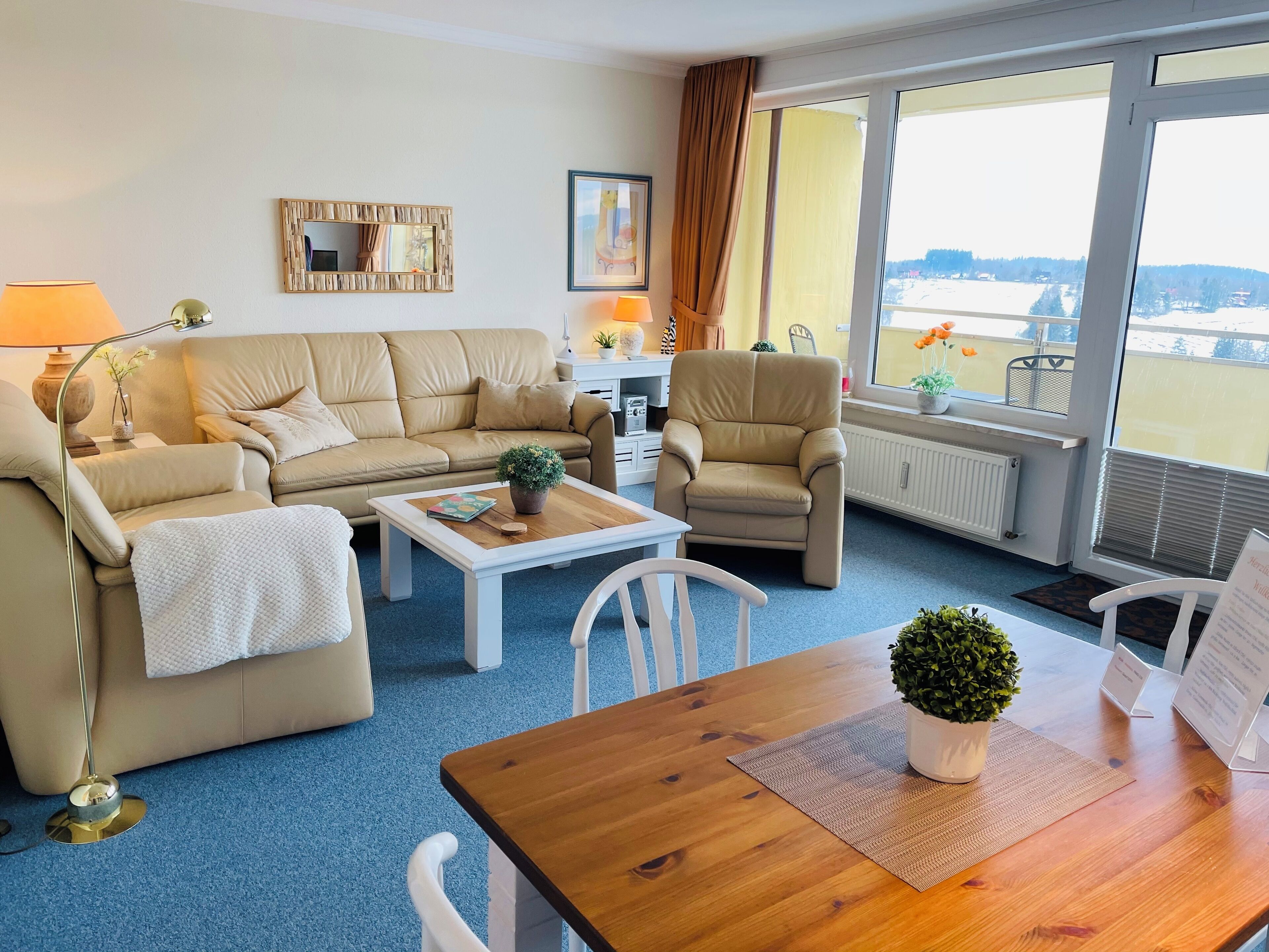 Televisor, futbolí, taula de tennis de taula i llibres 