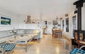 TV, fireplace, DVD player