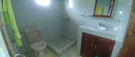 A bathroom with a toilet, shower, sink, and mirror.