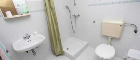 Une salle de bain équipée d’un lavabo, de toilettes, d’une douche et d’un miroir.