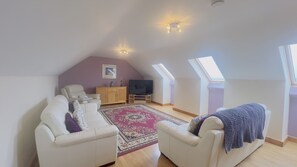 A loft bedroom with a sloped ceiling, a TV, a sofa, a chair, a cabinet, a rug, and skylights.