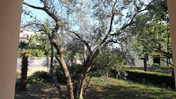 Estudio, planta baja | Vistas al jardín