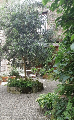 Terrace/patio - Place Robert Darniche (Monségur)