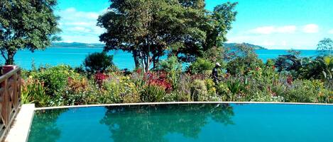 Una piscina al aire libre, tumbonas