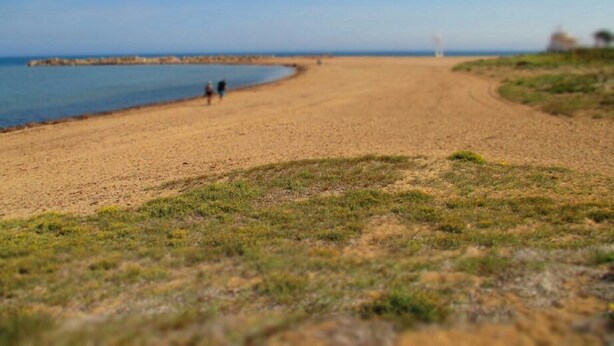 A beach with a clear sky, a sandy shore, and a few people walking.