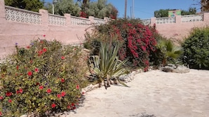 A garden with red flowers, a palm tree, and a stone pathway.