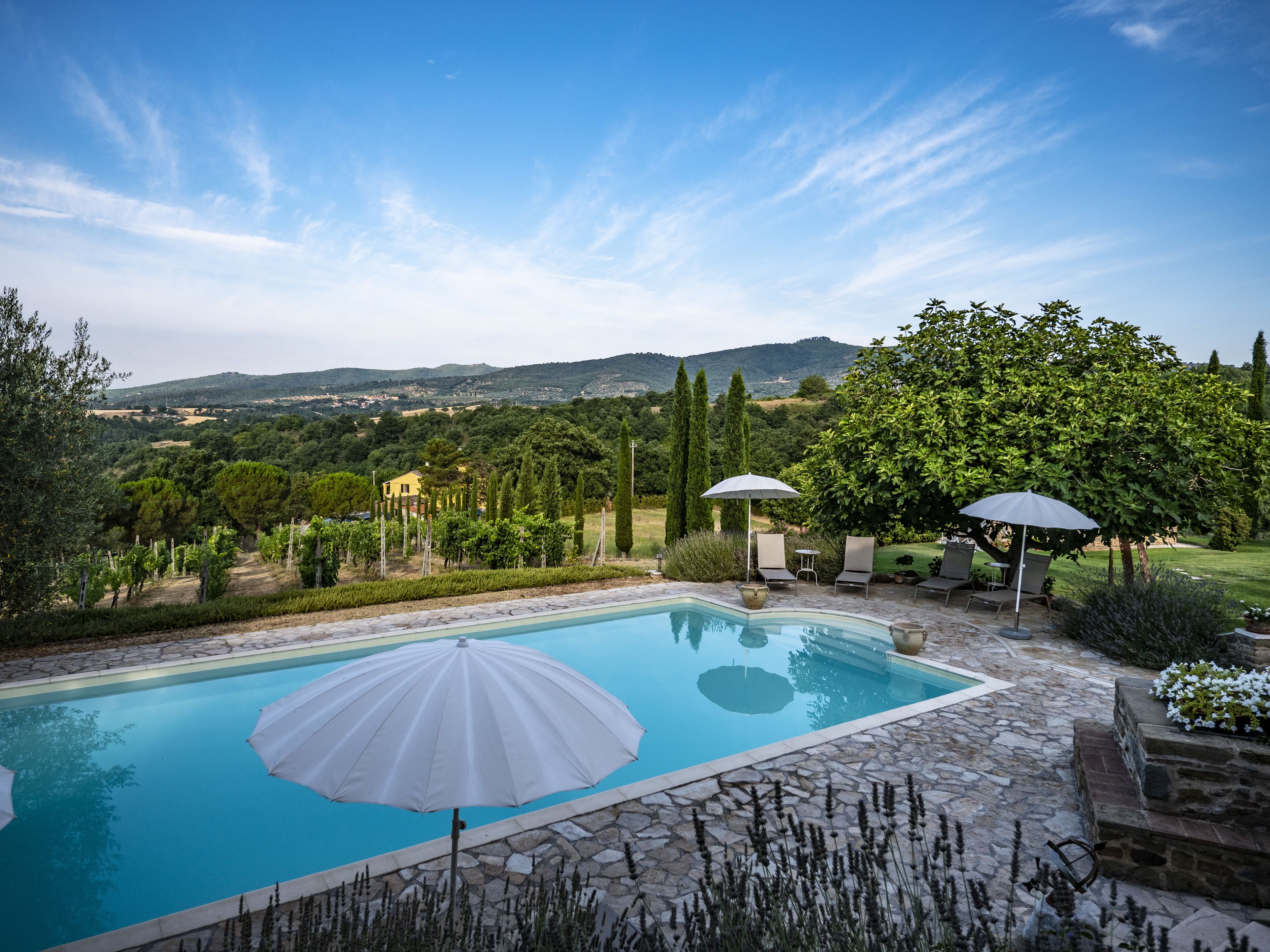 Piscine extérieure, parasols de plage, chaises longues