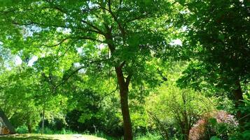 Área da propriedade