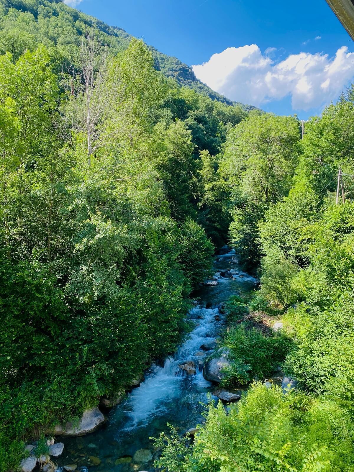 Un río serpentea por un valle densamente arbolado, con montañas al fondo.