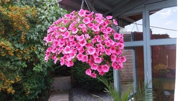 Une composition florale suspendue devant une maison dotée d’un porche et d’une fenêtre.