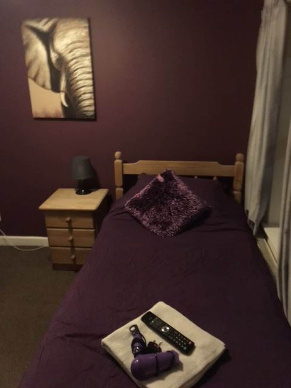 Een enkel bed met een paarse deken, een houten hoofdbord, een klein nachtkastje met een lamp, en een schilderij aan de muur.