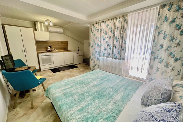 Entire studio view, Double bed, kitchen, foldable sofa, balcony.