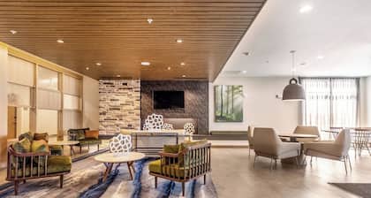 Fairfield Inn & Suites by Marriott Dallas Arlington South