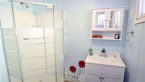 Un baño con cabina de ducha de vidrio, un lavamanos blanco y un espejo encima.