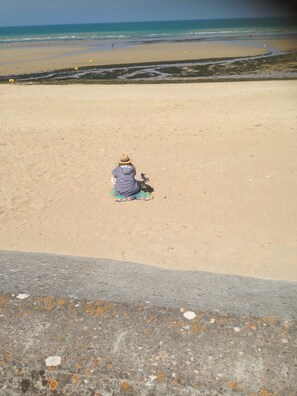 Ein Strand mit einer Person, die auf einer Decke sitzt.