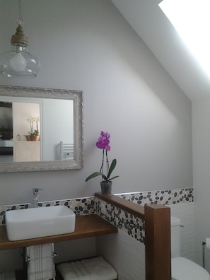 A bathroom with a white sink, a mirror with an ornate frame, a purple orchid, and a toilet. - Manoir des Roches 41 (Montrichard Val de Cher)