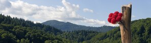 Hiking
