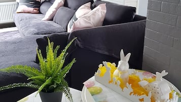 Smart-TV, Bücher