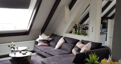 Beautiful apartment with large sun terrace - Apartment Elegance