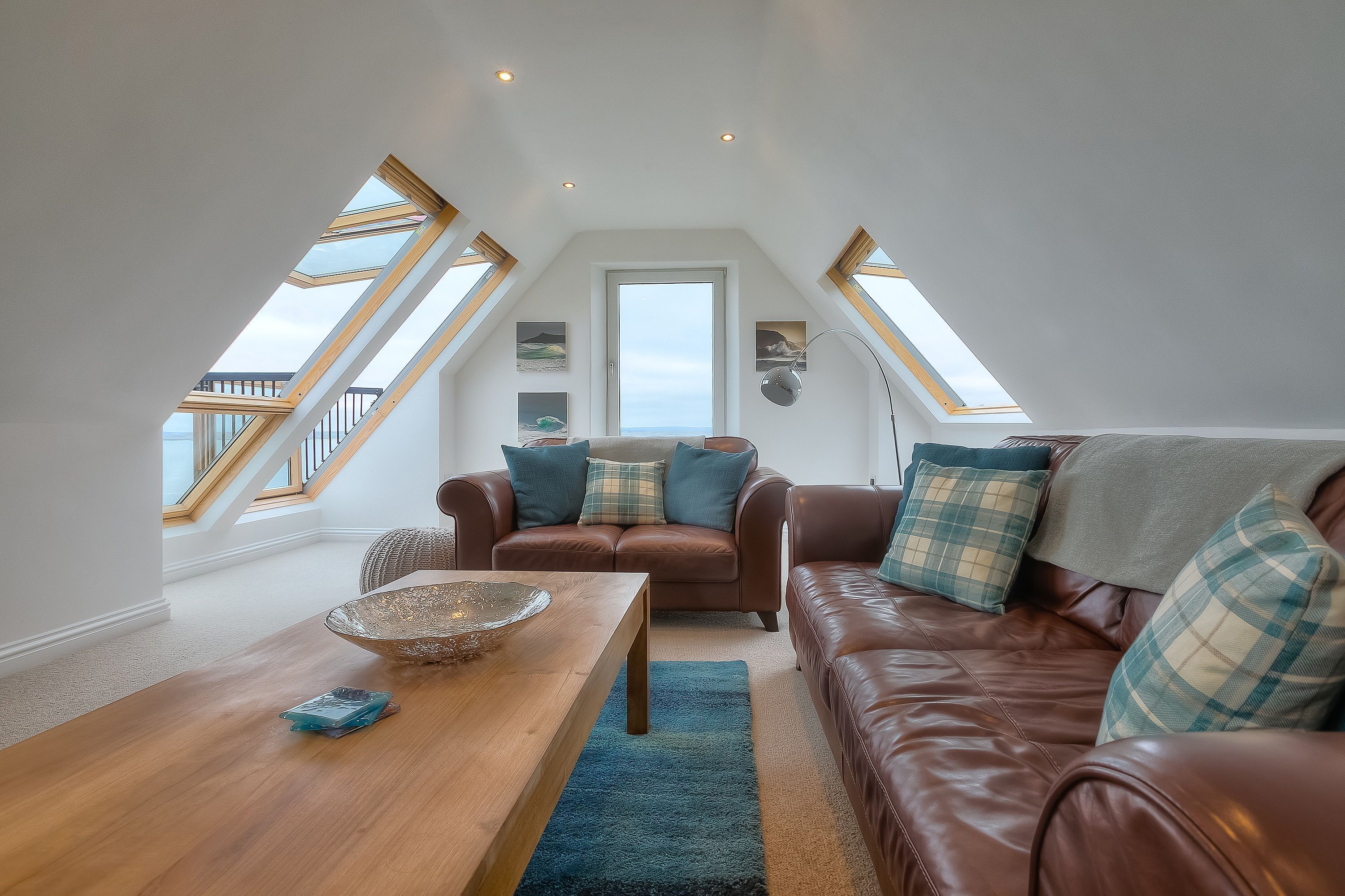 电视、DVD 播放器