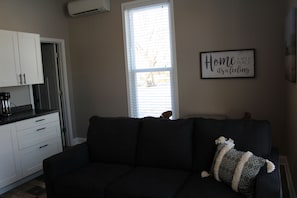 Smart TV, fireplace, books