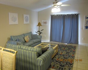 Älytelevisio, DVD-soitin, kirjoja, videokirjasto