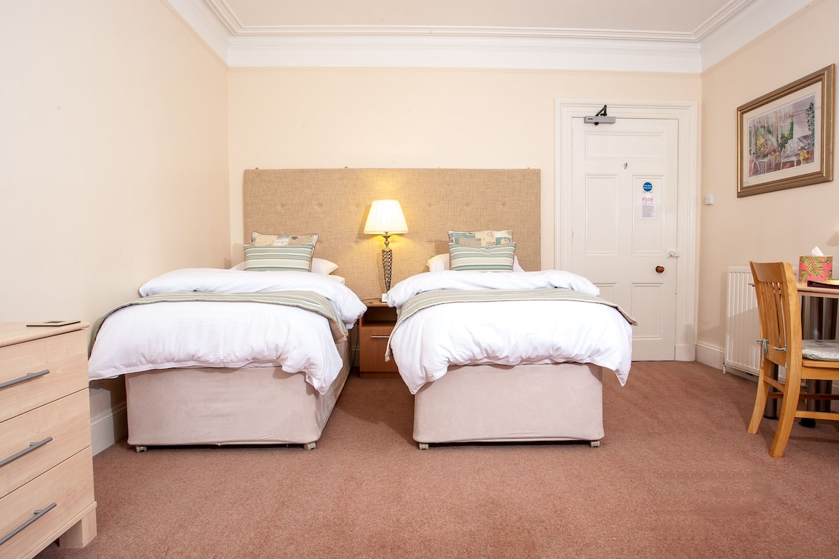 Luxury Twin Room | Hypo-allergenic bedding available, desk, laptop workspace, WiFi (free)