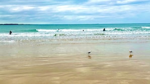 A beach with waves, people in the water, and seagulls on the sand. - Whites Retreat (The Esplanade) (Torquay)
