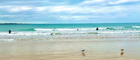 Strand