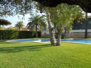 A well-maintained pool area with a palm tree, neatly trimmed grass, and a clear blue pool.