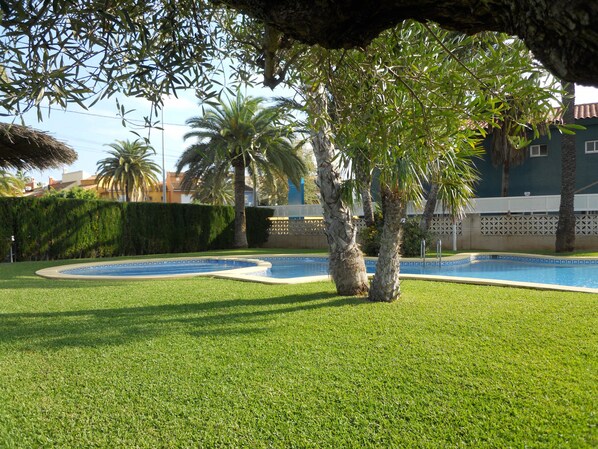 A well-maintained pool area with a palm tree, neatly trimmed grass, and a clear blue pool.