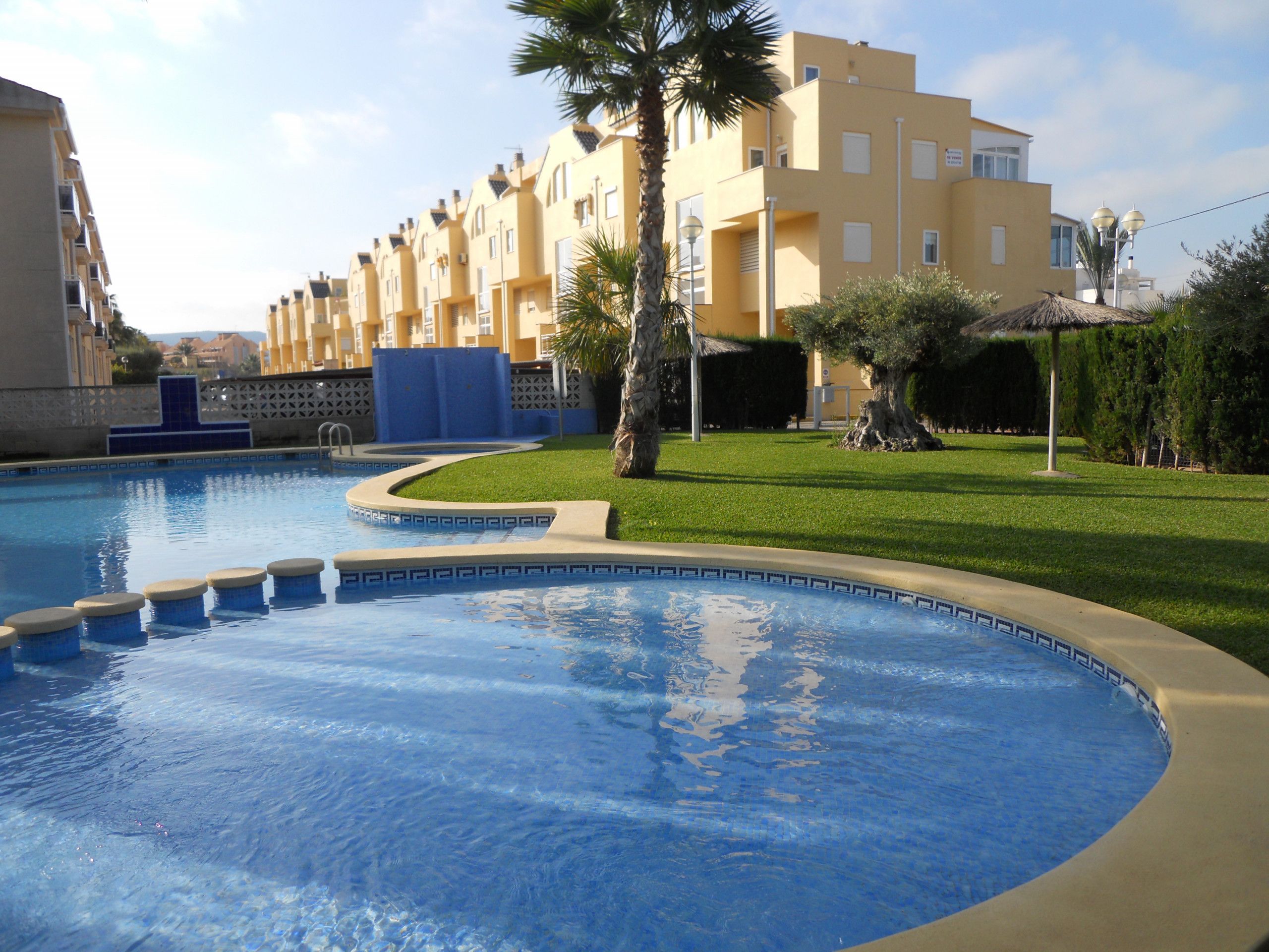 A swimming pool with a curved edge, surrounded by a well-maintained lawn and palm trees. In the background, there is a row of yellow buildings with balconies.
