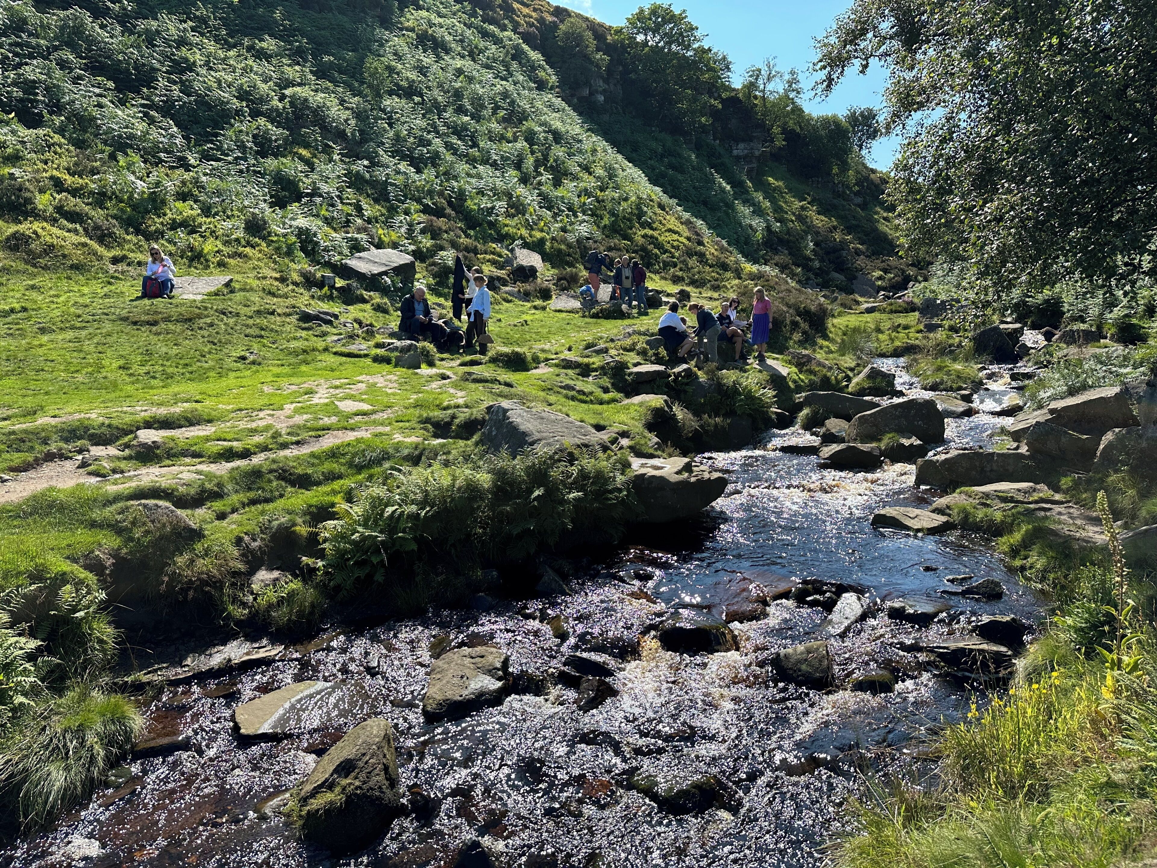 A natural outdoor setting with a stream, rocks, and greenery.