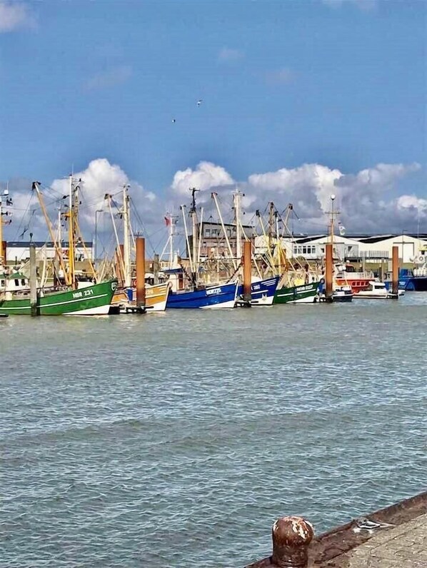 Jachthaven