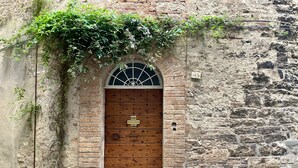 A wooden door with a metal plaque, a brick wall, and a potted plant.