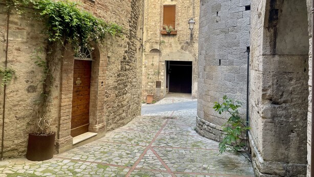 A narrow cobblestone alley with stone buildings, wooden doors, and potted plants.