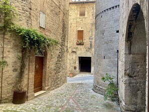 A narrow cobblestone alley with stone buildings, wooden doors, and potted plants.