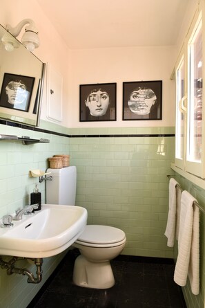 Bathtub, hair dryer, bidet, towels