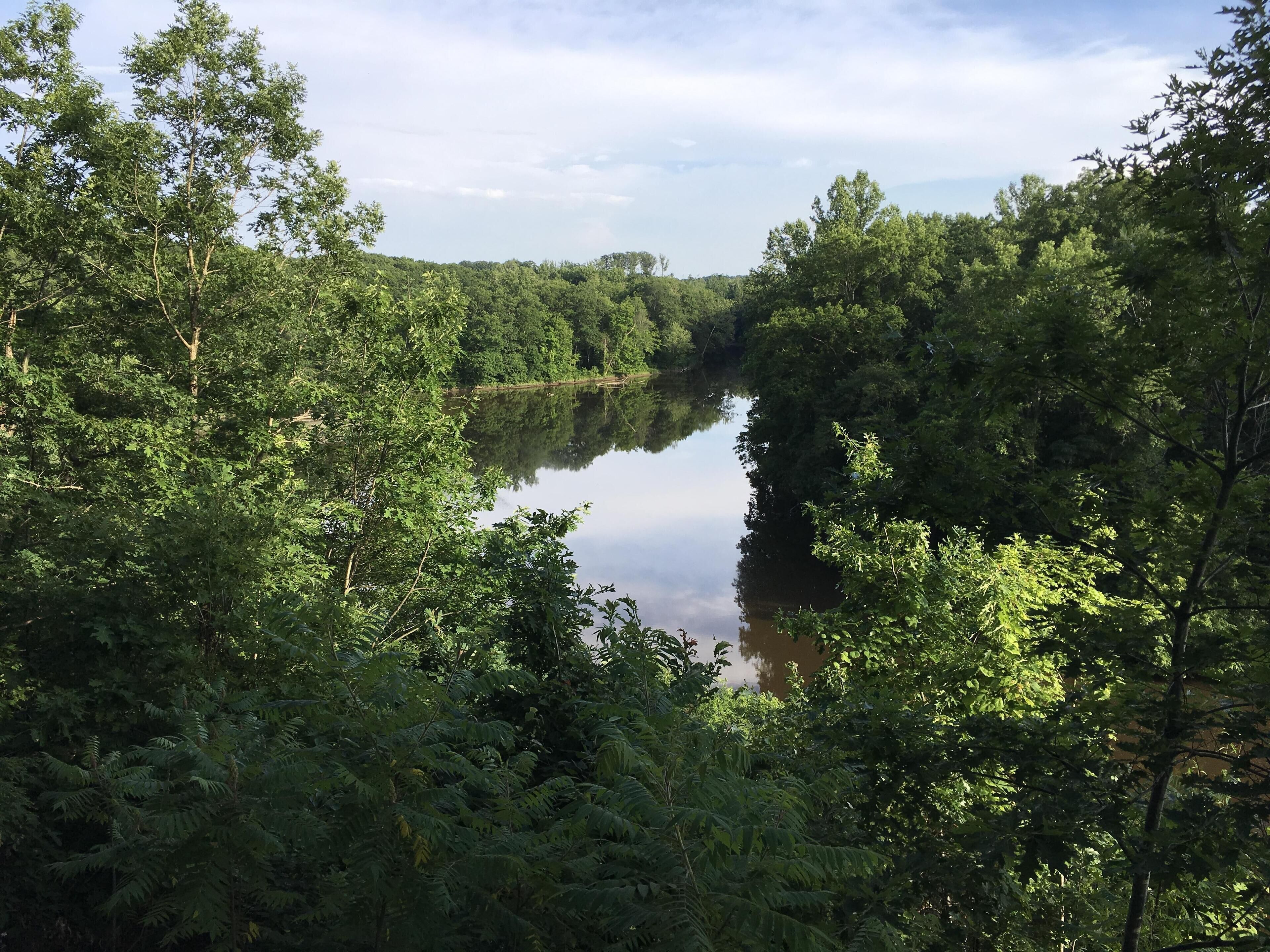 A serene river surrounded by dense forest.